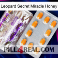 Leopard Secret Miracle Honey new12